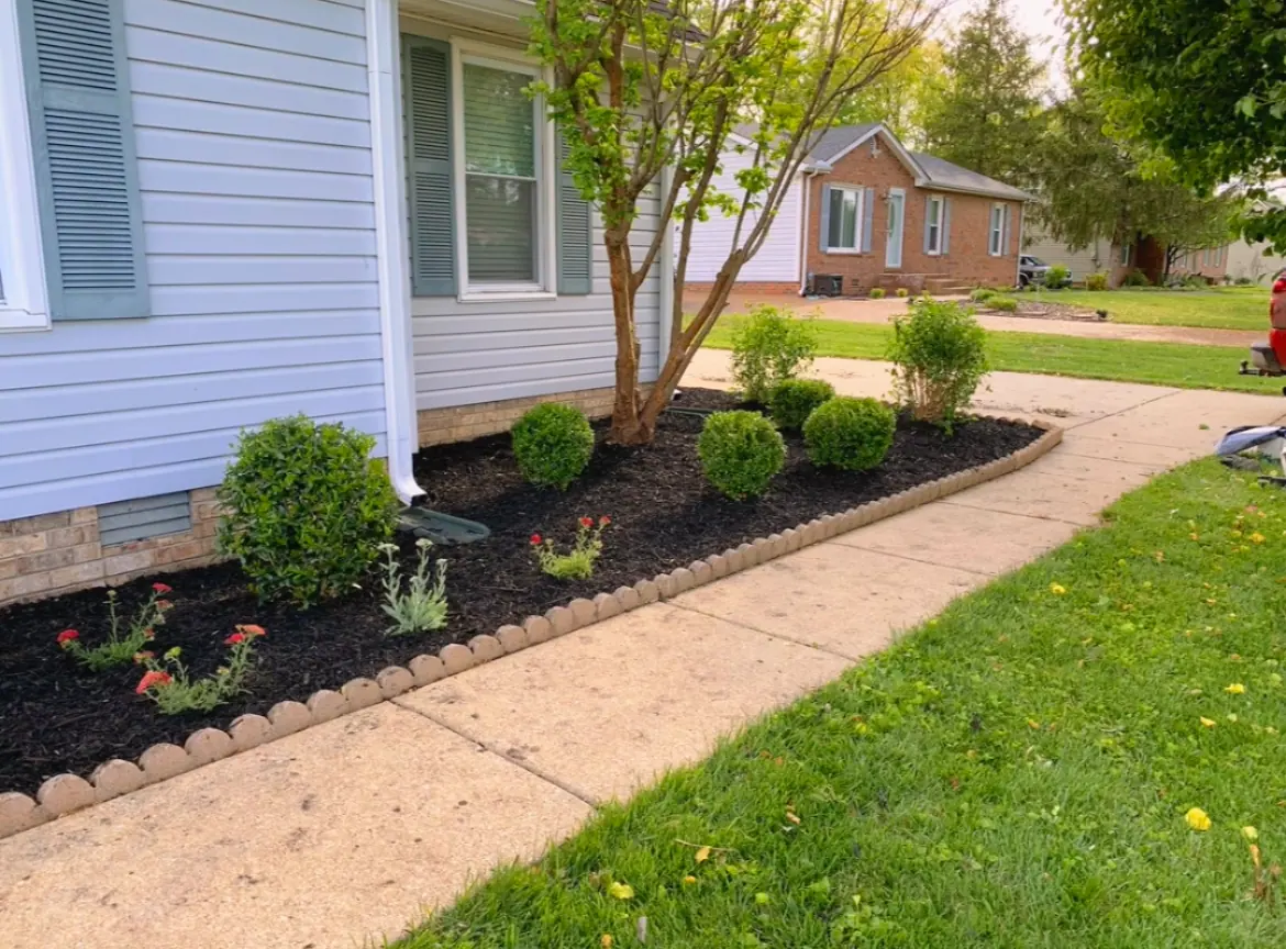 Mulch bed with shrubs and scalloped edging along a sidewalk
